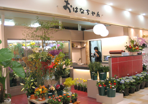 harumi box2 005